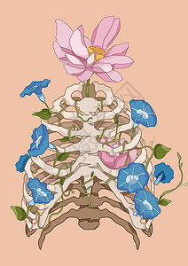 胸腔穿刺花卉器官骨骼胸腔肋骨之花插画