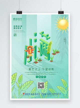 小麦苗绿色清新2.5D立体小满节气海报模板
