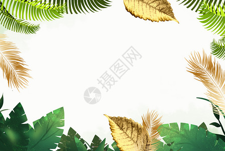 水彩小清新羽毛金箔植物设计图片