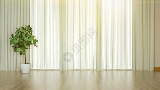 绿色植物装饰室内简约家居背景设计图片