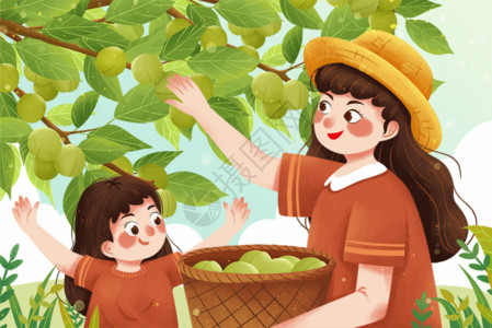 越南果园二十四节气小满摘青杏插画gif动图高清图片