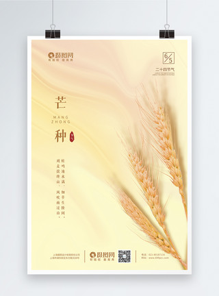 麦穗芒种素材麦穗芒种二十四节气海报模板