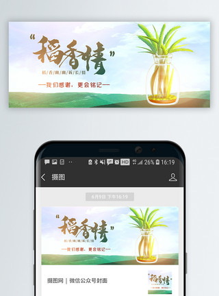 蝴蝶兰杂交稻香情纪念袁老公众号封面配图模板