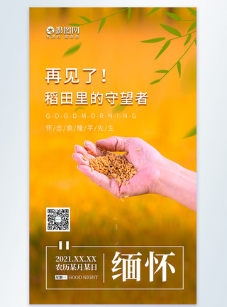 致敬杂交水稻之父宣传海报简约悼念袁隆平先生摄影图海报模板