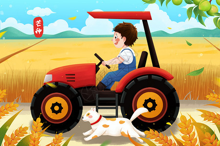 农作物丰收二十四节气芒种麦田边开拖拉机男孩与狗插画插画
