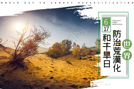 干旱缺水的沙漠世界防治荒漠化和干旱日设计图片