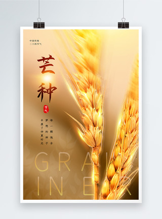 小麦成熟写实风芒种节气海报模板
