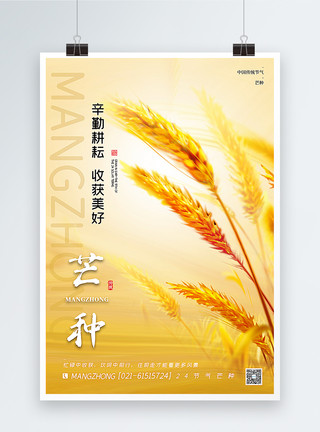 成熟的水稻大气通用芒种节气海报模板
