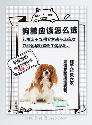 宠物标志狗粮应该怎么选正确挑选狗粮方法小红书封面模板