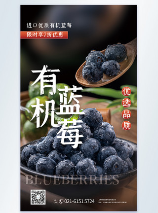 进口鲜果有机蓝莓水果摄影图海报模板