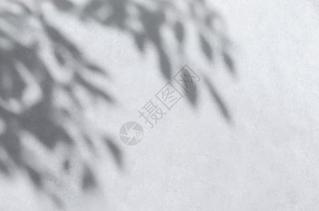 树上的杨梅夏日倒影设计图片