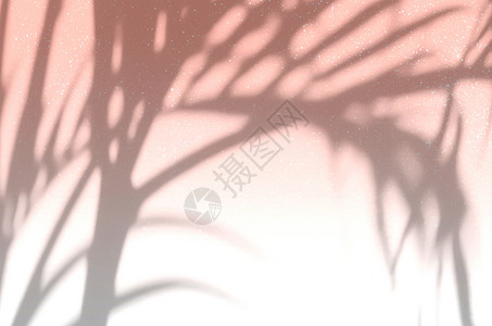 阳光树影夏日树影设计图片