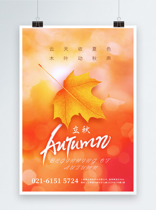 秋天树叶花草清新意境风立秋节气宣传海报模板