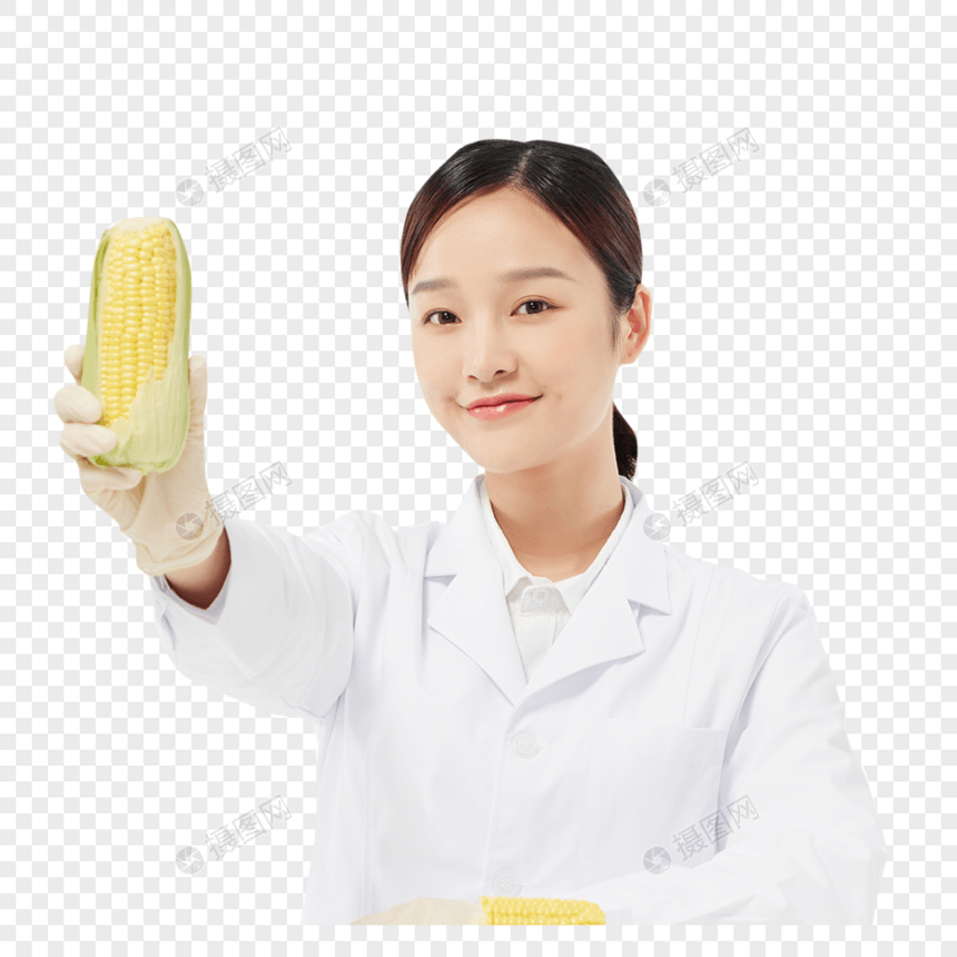 美女营养师用玉米做实验图片