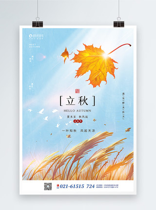 枫叶树叶手绘风立秋节气海报模板