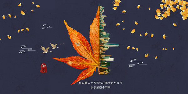 二十四节气之秋分背景图片