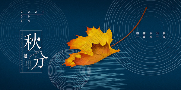 水面落叶二十四节气之秋分设计图片