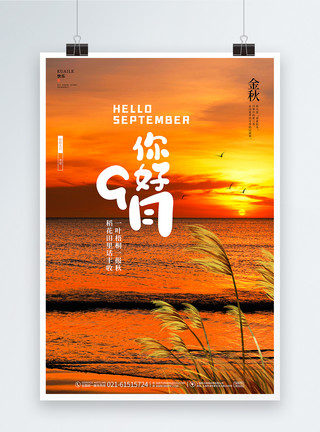 秋天芦苇唯美风景落日9月你好宣传海报设计模板
