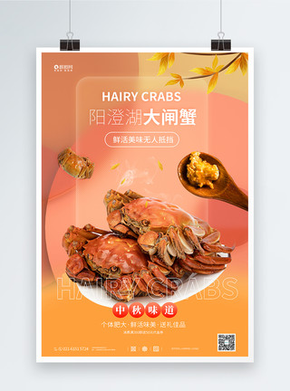 传统饮食产业阳澄湖大闸蟹促销海报模板