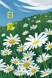 白露时节的雏菊花丛背景图片
