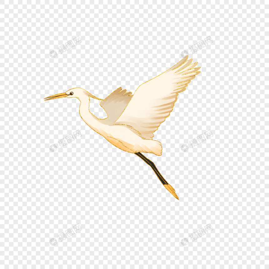 飞翔的白鹭图片