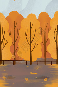 秋天里的树女孩骑车行驶在秋天里GIF高清图片