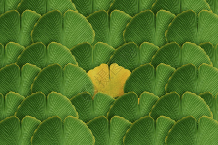 绿色黄色树叶秋天GIF高清图片