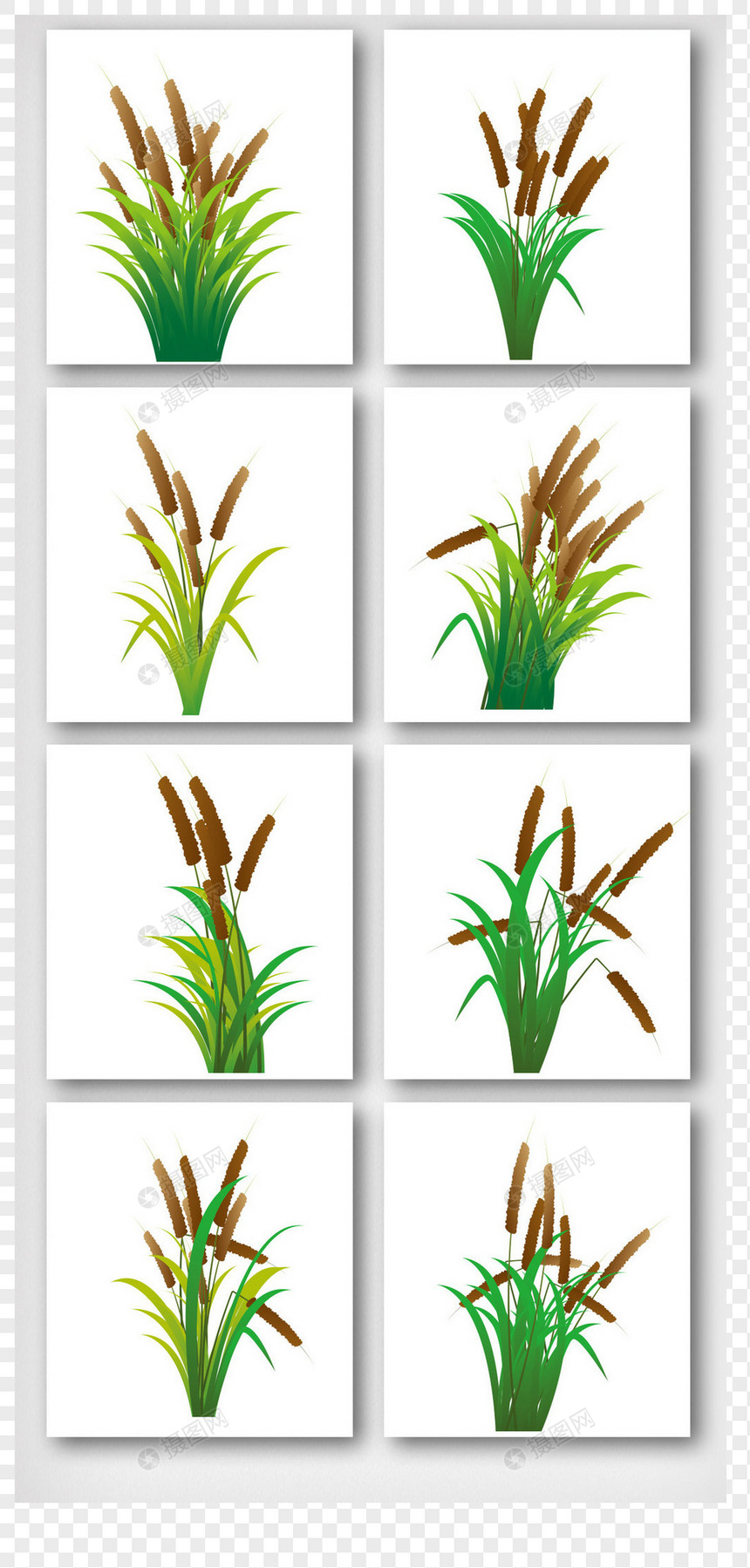 高梁植物图案元素图片