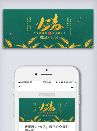 绿色大图绿色小满麦穗公众号首图模板