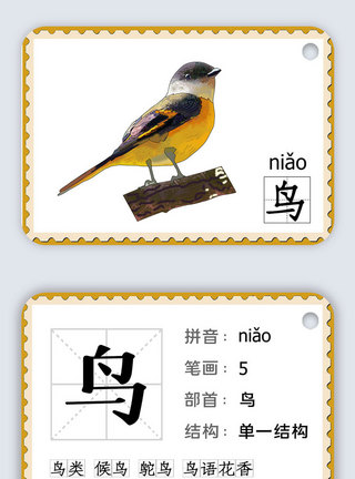 汉字王国可爱卡通识字卡电子模板_鸟模板