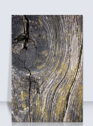 木地板粘接通用木纹背景元素模板