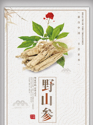 中医药膳素材白色背景简约中国风养生野山参呢宣传海报模板
