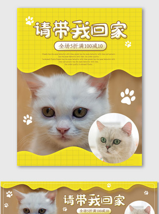 拼图背景时尚萌宠海报电商拼图宠物猫咪促销模版模板