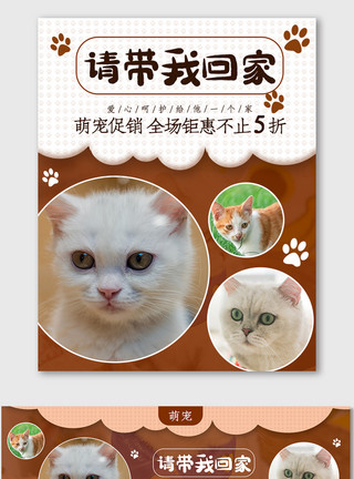 拼图模版时尚萌宠海报电商拼图宠物猫咪促销banner模板