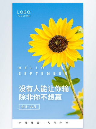 一束向日葵你好九月正能量摄影图海报模板