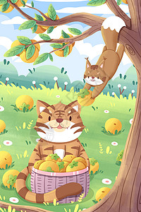 秋天松鼠与秋老虎摘柿子插画背景图片