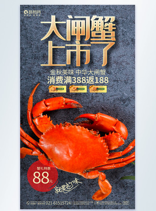 新品大闸蟹宣传简约大气大闸蟹上市了大闸蟹美食促销摄影图海报模板