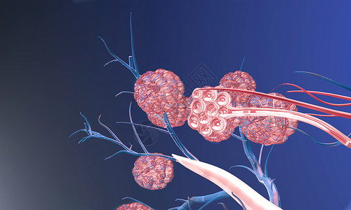 医疗网3D肺泡特写设计图片