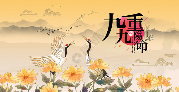 金盏菊中国风重阳节设计图片