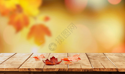 一片秋叶秋天背景设计图片