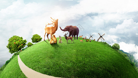 野生动物鹿世界动物日设计图片