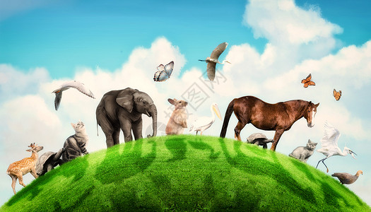 一群马世界动物日设计图片
