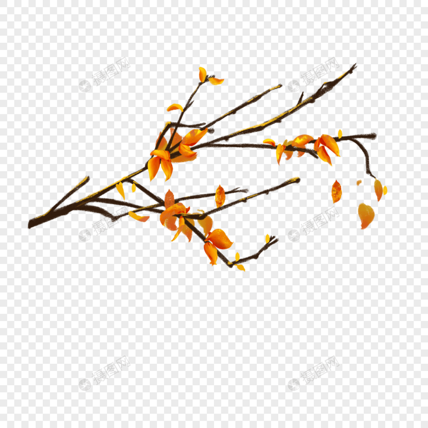 秋天枯树落叶图片