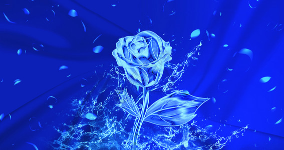 白玫瑰素材玫瑰克莱因蓝设计图片