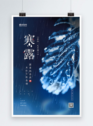 叶子雨极简风二十四节气之寒露宣传海报模板