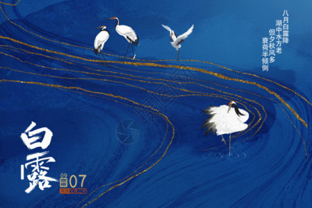 世界水日蓝色背景海报白露GIF高清图片