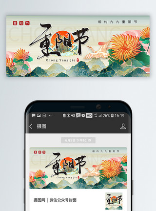 白菊菊花国潮风重阳节公众号封面配图模板