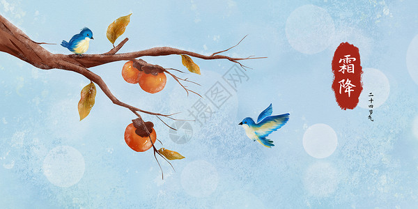 枯树枝上的小鸟霜降节气插画插画