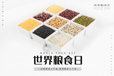 农作物五谷杂粮宣传世界粮食日设计图片