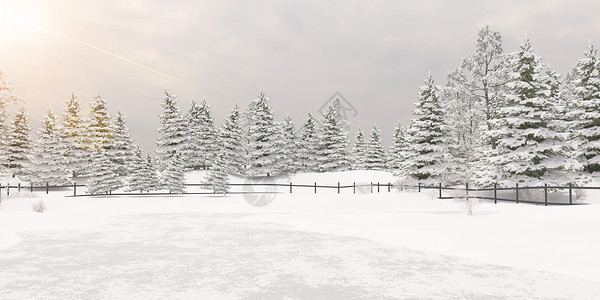 雪松树和森林3D冬季场景设计图片